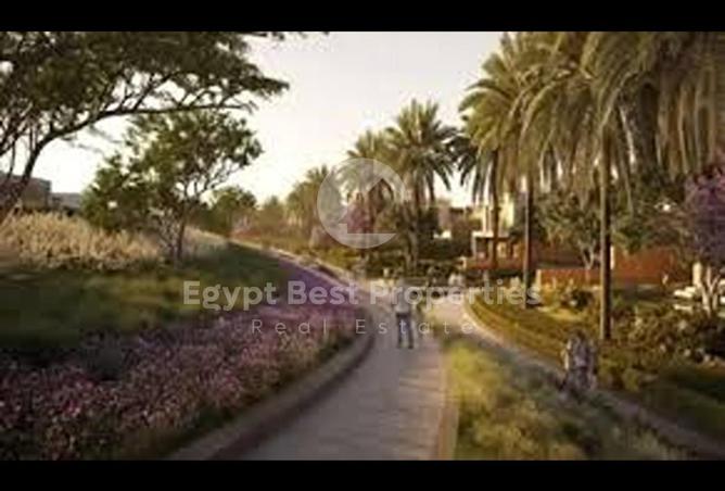 8019338 - Property Image 3