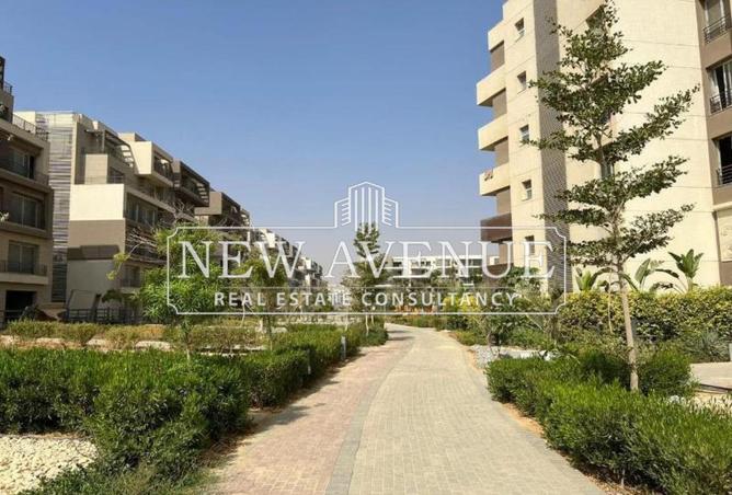 8163253 - Property Image 3