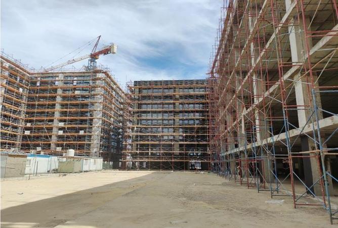 8018434 - صورة العقار 3