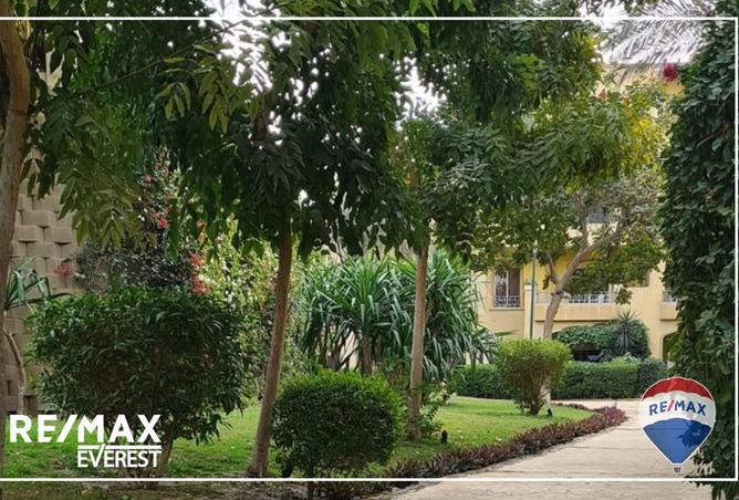 8430799 - صورة العقار 2