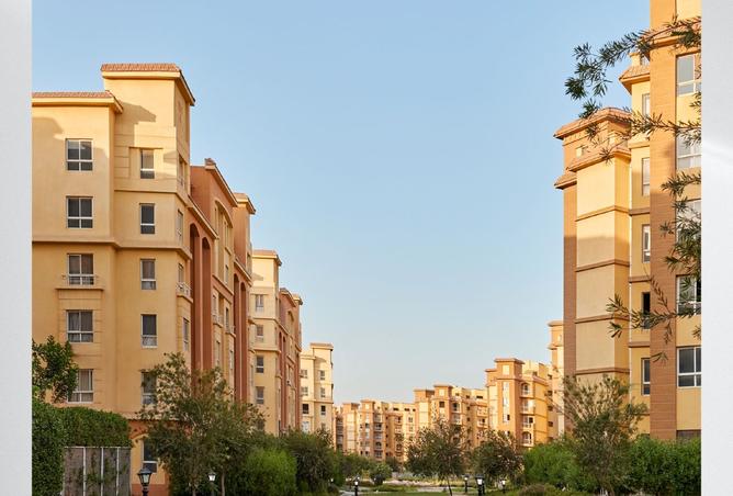 8046960 - Property Image 2