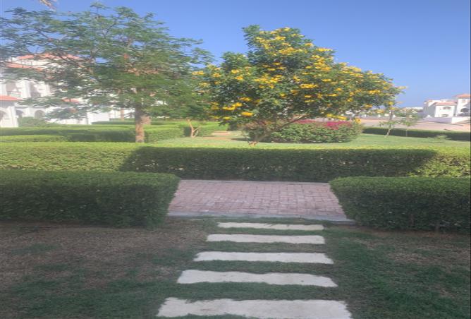 8442537 - Property Image 3