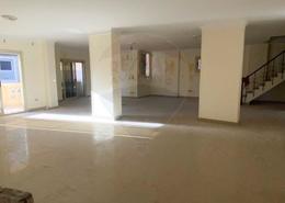 Duplex - 5 bedrooms for للايجار in Al Farek Ismail Srhank St. - Laurent - Hay Sharq - Alexandria