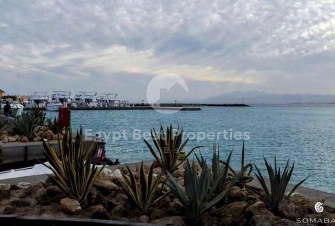 8069775 - صورة العقار 3