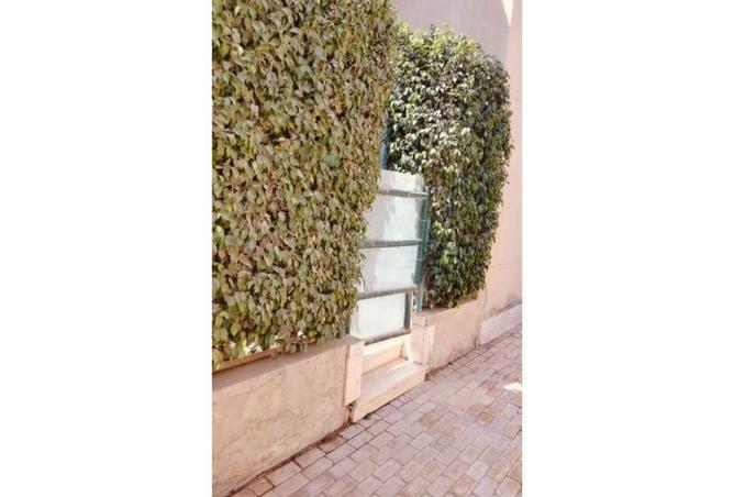 8186045 - صورة العقار 3