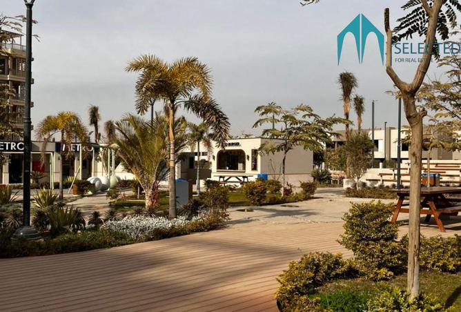 8364268 - Property Image 3