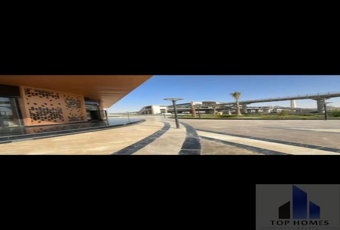 7985923 - Property Image 3