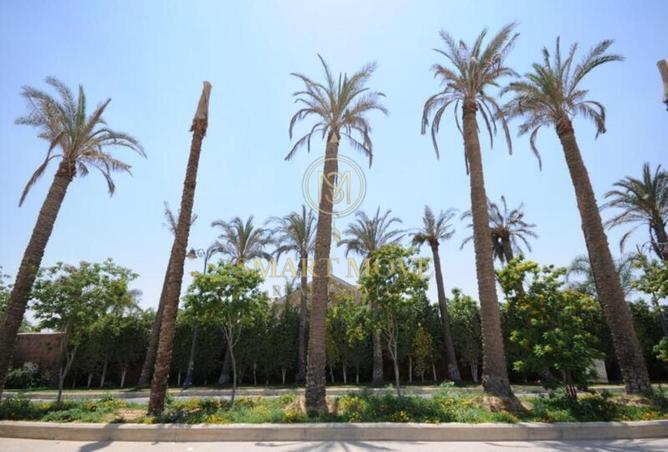 8343228 - الصورة الرئيسية للعقار