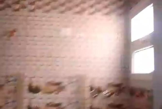 8493784 - Property Image 3