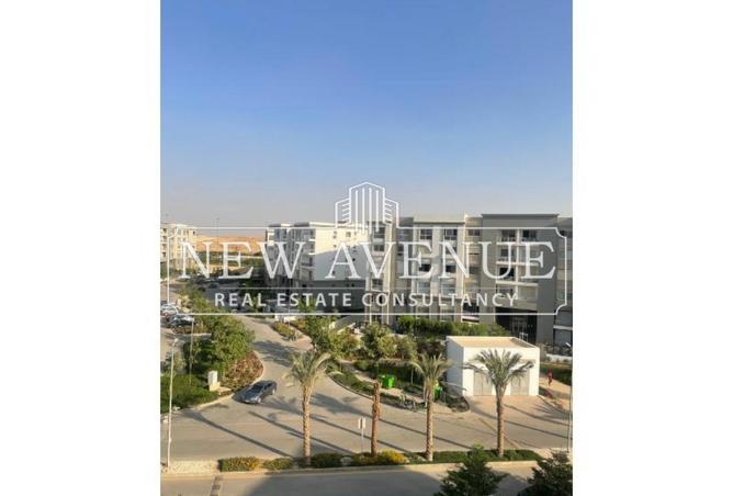 8420022 - Property Image 3