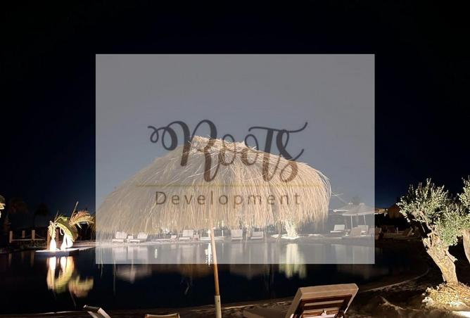 8074076 - Property Image 3