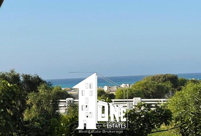 8419127 - صورة العقار 3