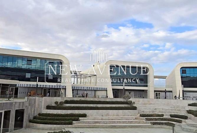 8282031 - Property Image 3