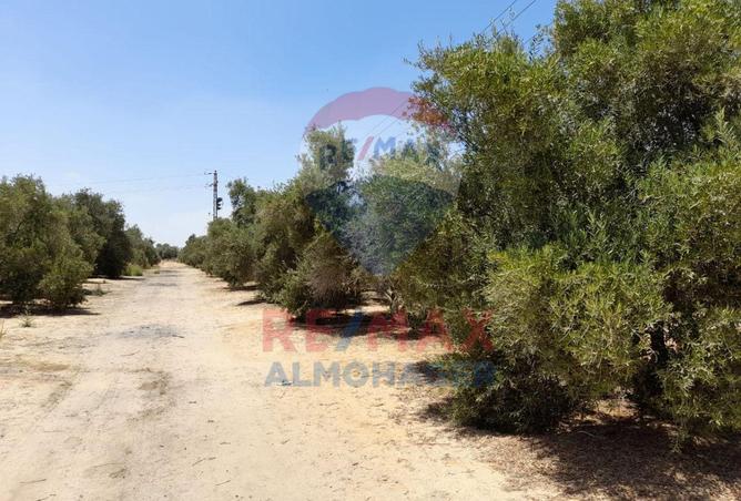 8364700 - Property Image 3