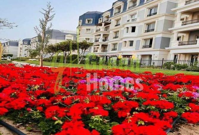 8325069 - Property Image 2