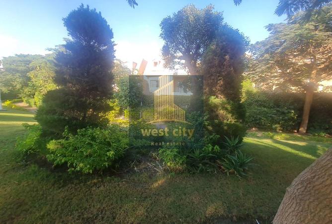 8218819 - Property Image 3