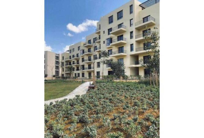 8185847 - صورة العقار 3