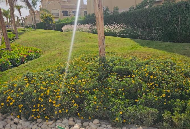 8041671 - Property Image 3