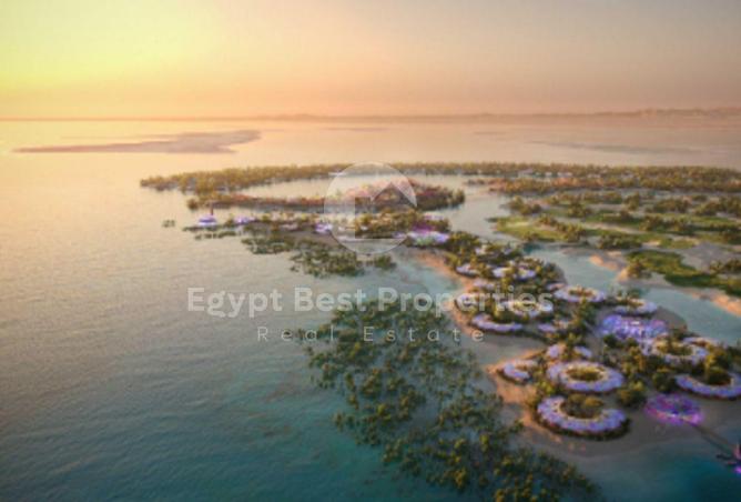 8310805 - صورة العقار 3