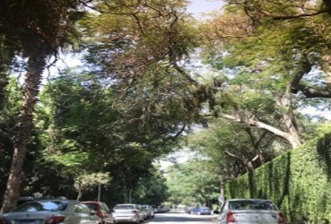 7903200 - صورة العقار 3