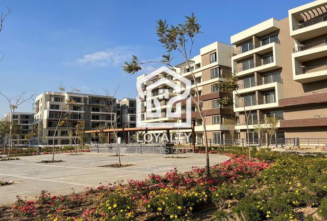 7950842 - صورة العقار 2