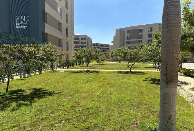 7930385 - صورة العقار 3