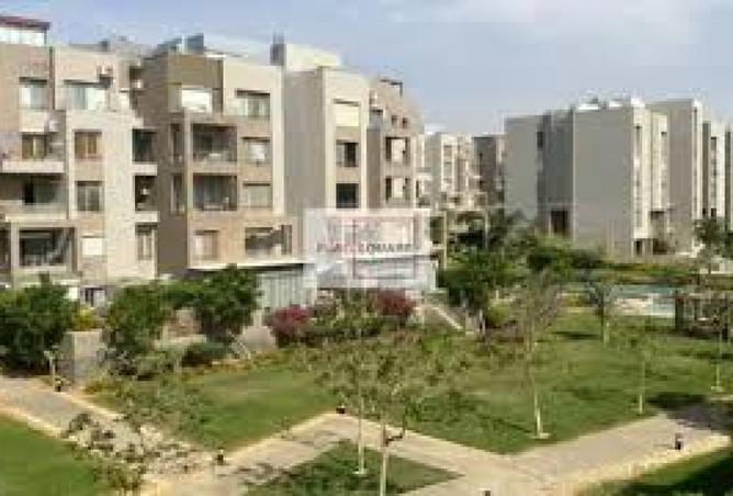 8107442 - Property Image 2