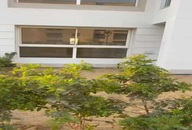 8131295 - Property Image 3