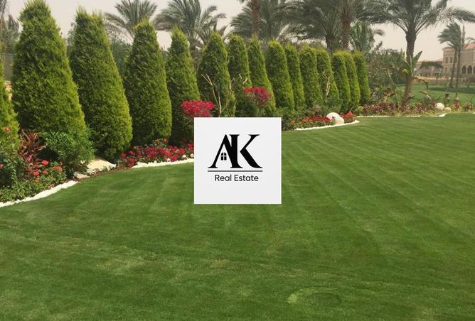 8089717 - صورة العقار 2