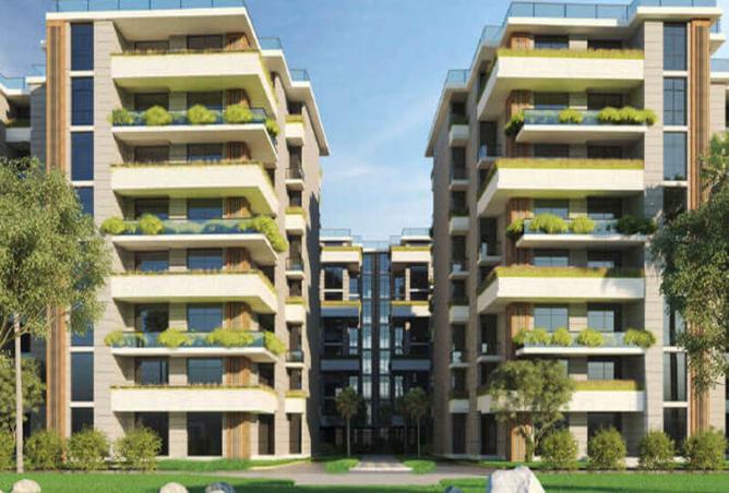 8168835 - Property Image 2