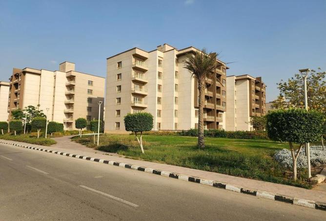 8423665 - صورة العقار 2