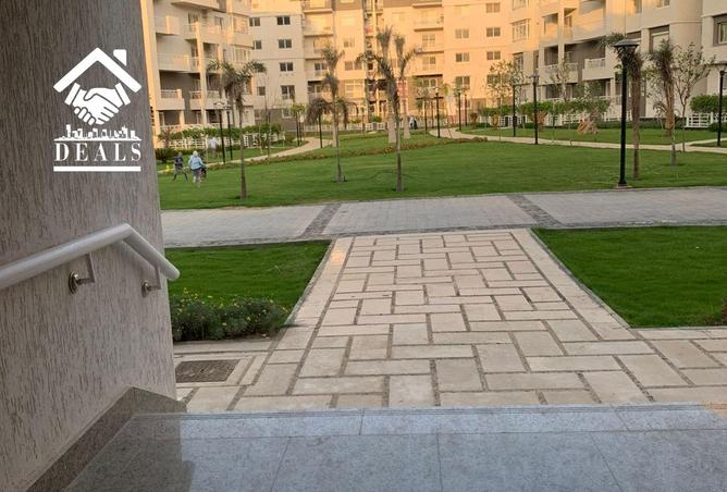 8001842 - صورة العقار 3