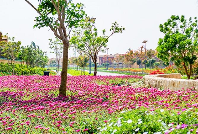 8486615 - Property Image 3