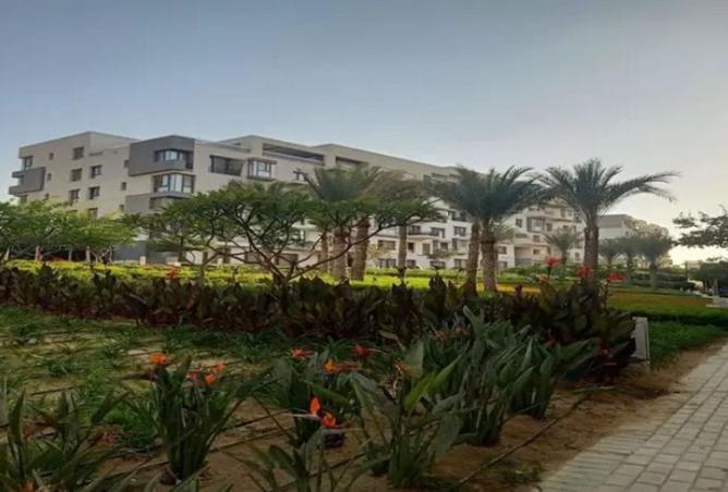 7921343 - صورة العقار 3