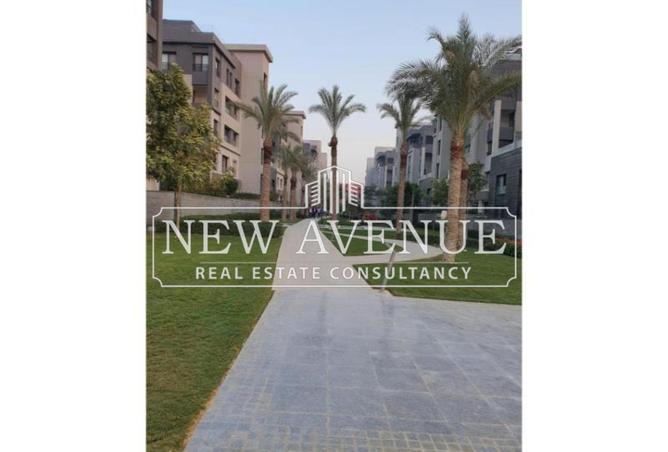 8108403 - Property Image 3