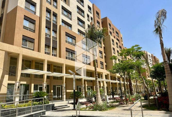 8394117 - صورة العقار 3