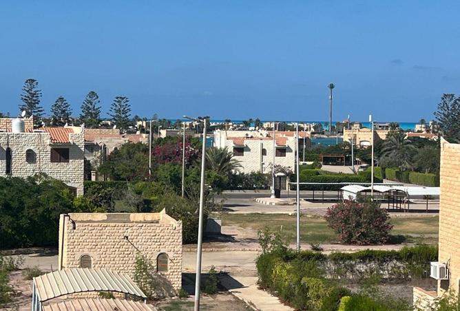 8301095 - صورة العقار 2