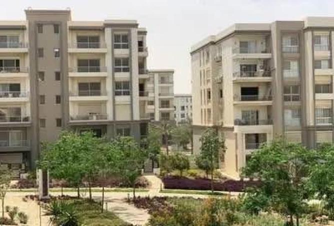 8204627 - Property Image 3