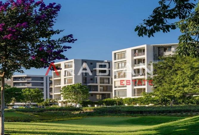 8108835 - Property Image 3