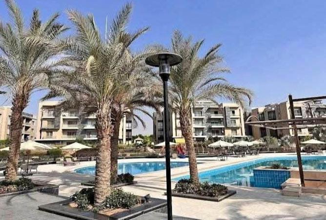 8394607 - Property Image 3