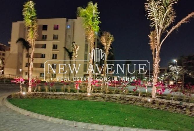 8196646 - Property Image 3