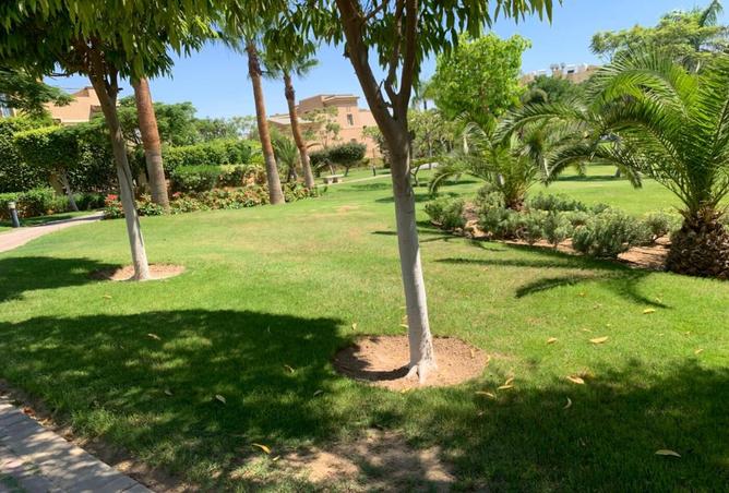7967326 - صورة العقار 3