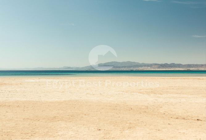 7975845 - صورة العقار 2
