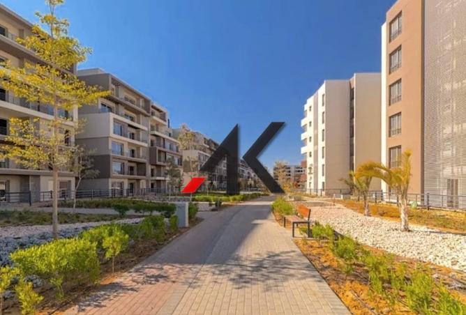 8397224 - Property Image 3