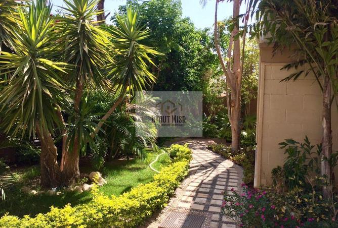 8152978 - صورة العقار 3