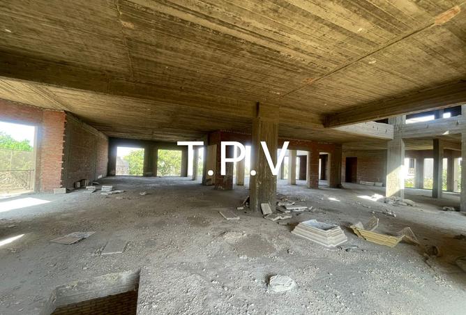 7946312 - Property Image 3