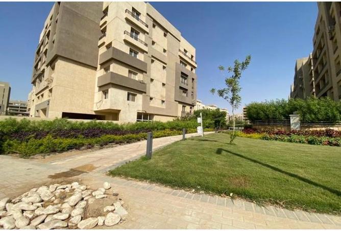 7903931 - الصورة الرئيسية للعقار