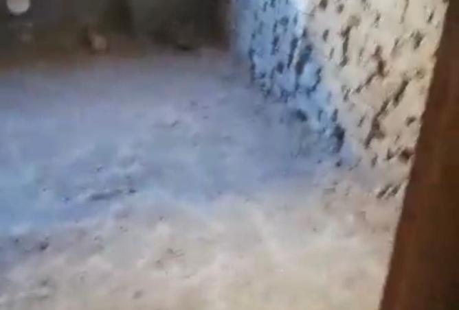 8413298 - صورة العقار 3