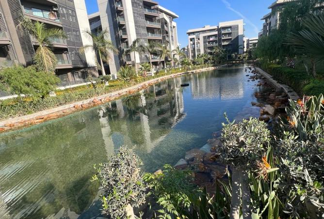 8412504 - صورة العقار 3