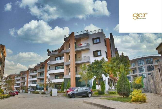 8393031 - Property Image 2